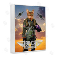 Vincent Hie | Cat Pilot & Aircraft