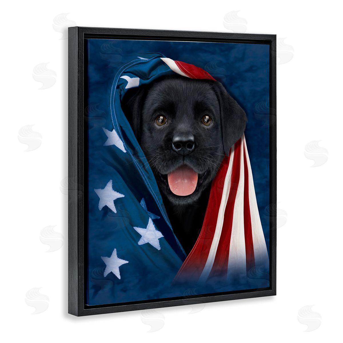Vincent Hie | Labrador & American Flag