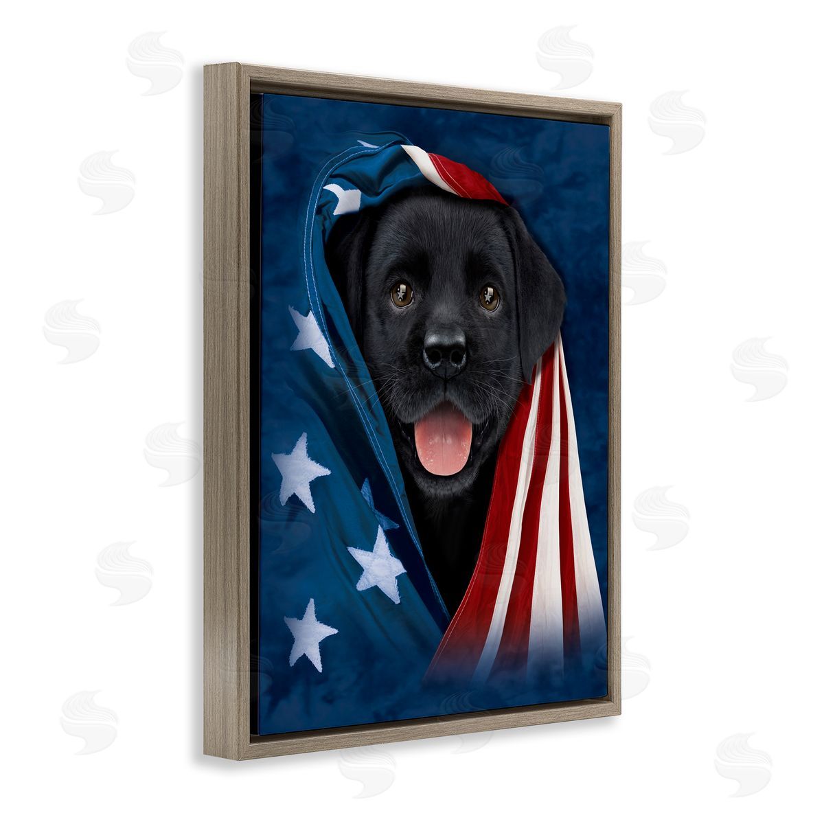 Vincent Hie | Labrador & American Flag