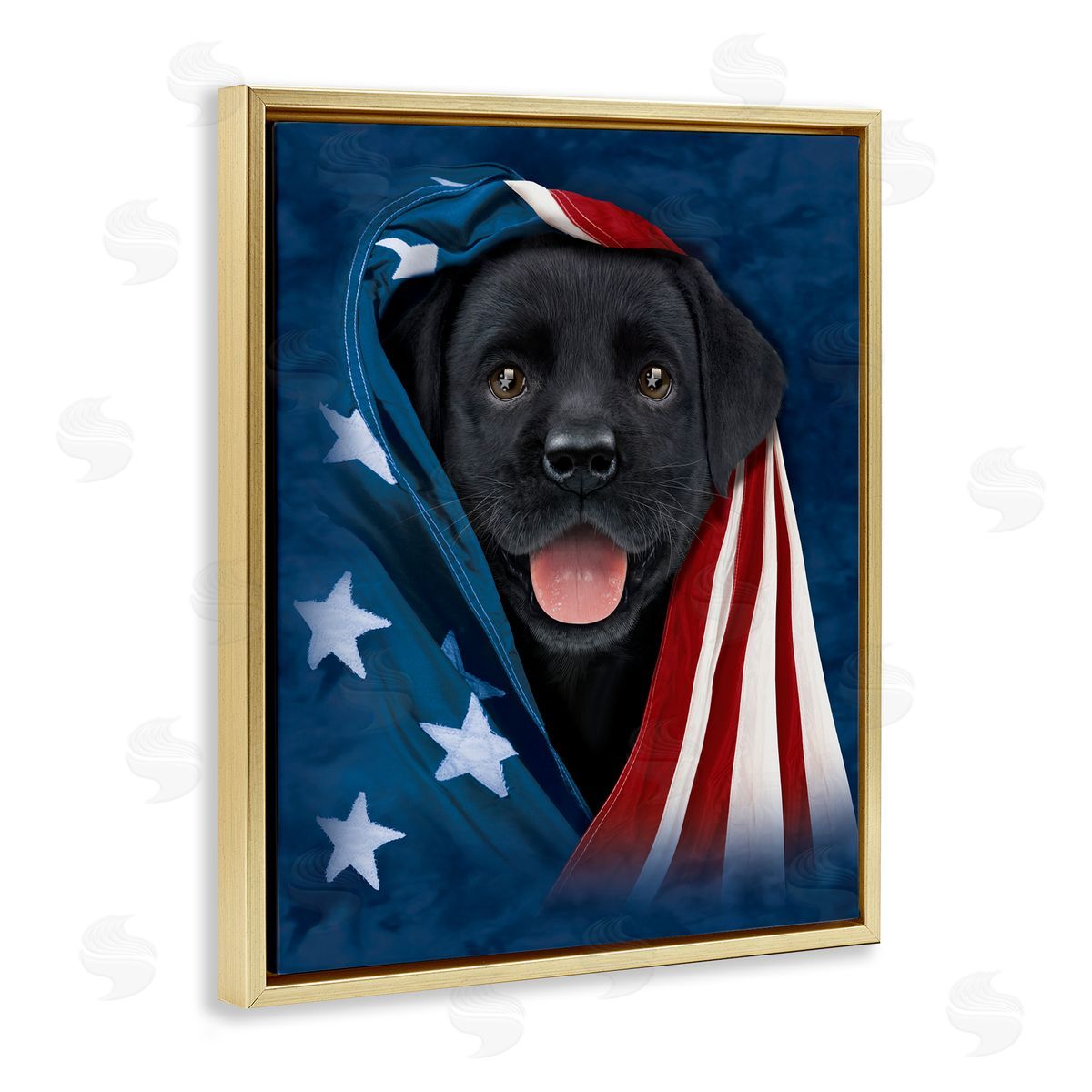 Vincent Hie | Labrador & American Flag