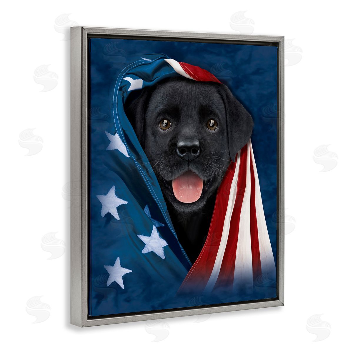 Vincent Hie | Labrador & American Flag