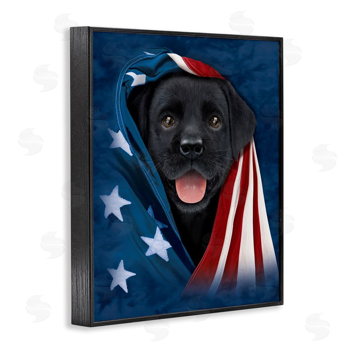 Vincent Hie | Labrador & American Flag