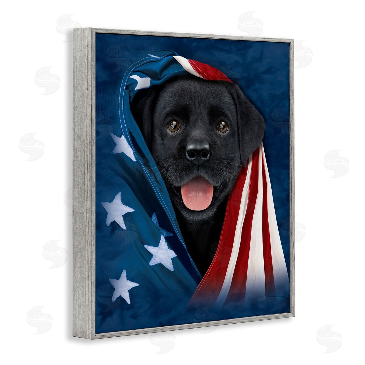 Vincent Hie | Labrador & American Flag