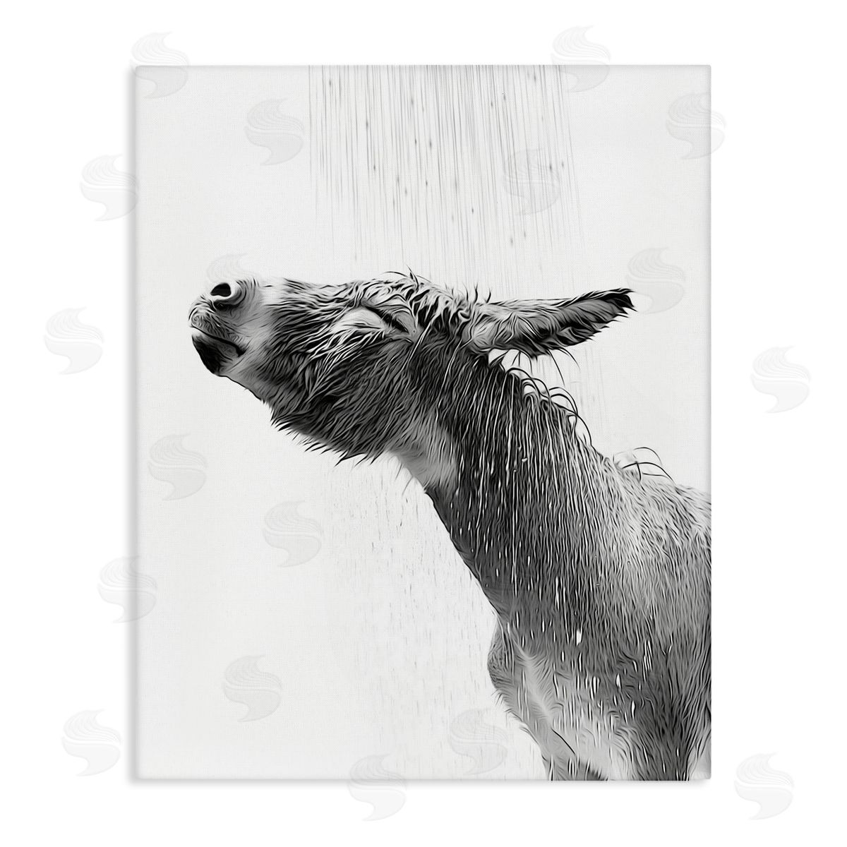 Annalisa Latella Donkey Bathroom Splash Canvas Wall Art