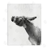 Annalisa Latella | Donkey Bathroom Splash