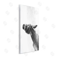 Annalisa Latella | Donkey Bathroom Splash