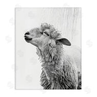 Annalisa Latella | Sheep Bathroom Splash