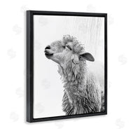Annalisa Latella | Sheep Bathroom Splash