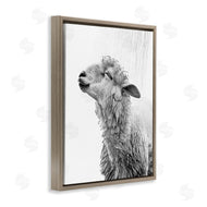 Annalisa Latella | Sheep Bathroom Splash