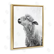 Annalisa Latella | Sheep Bathroom Splash