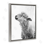 Annalisa Latella | Sheep Bathroom Splash