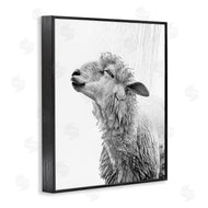 Annalisa Latella | Sheep Bathroom Splash