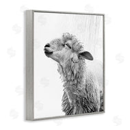 Annalisa Latella | Sheep Bathroom Splash