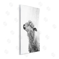 Annalisa Latella | Sheep Bathroom Splash