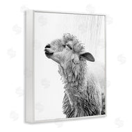 Annalisa Latella | Sheep Bathroom Splash