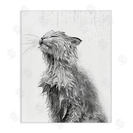Annalisa Latella | Cat Bathroom Splash