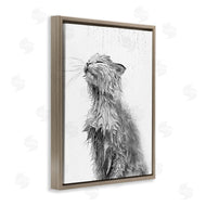 Annalisa Latella | Cat Bathroom Splash