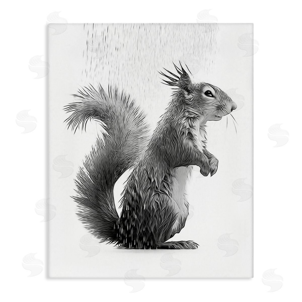 Annalisa Latella Squirrel Bathroom Splash Canvas Wall Art