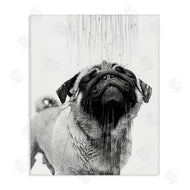 Annalisa Latella | Pug Bathroom Splash