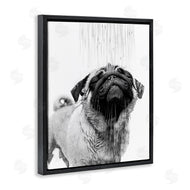 Annalisa Latella | Pug Bathroom Splash
