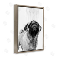 Annalisa Latella | Pug Bathroom Splash