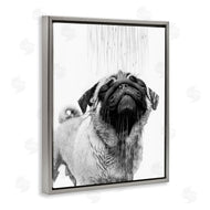 Annalisa Latella | Pug Bathroom Splash