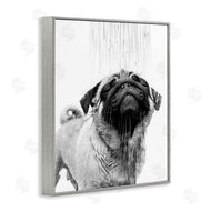 Annalisa Latella | Pug Bathroom Splash