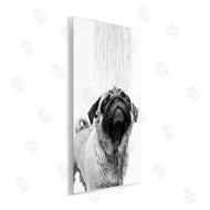 Annalisa Latella | Pug Bathroom Splash