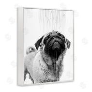 Annalisa Latella | Pug Bathroom Splash