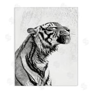 Annalisa Latella | Tiger Bathroom Splash
