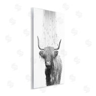 Annalisa Latella | Cattle Bathroom Splash