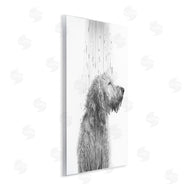 Annalisa Latella | Dog Bathroom Splash