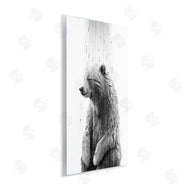 Annalisa Latella | Bear Water Splash