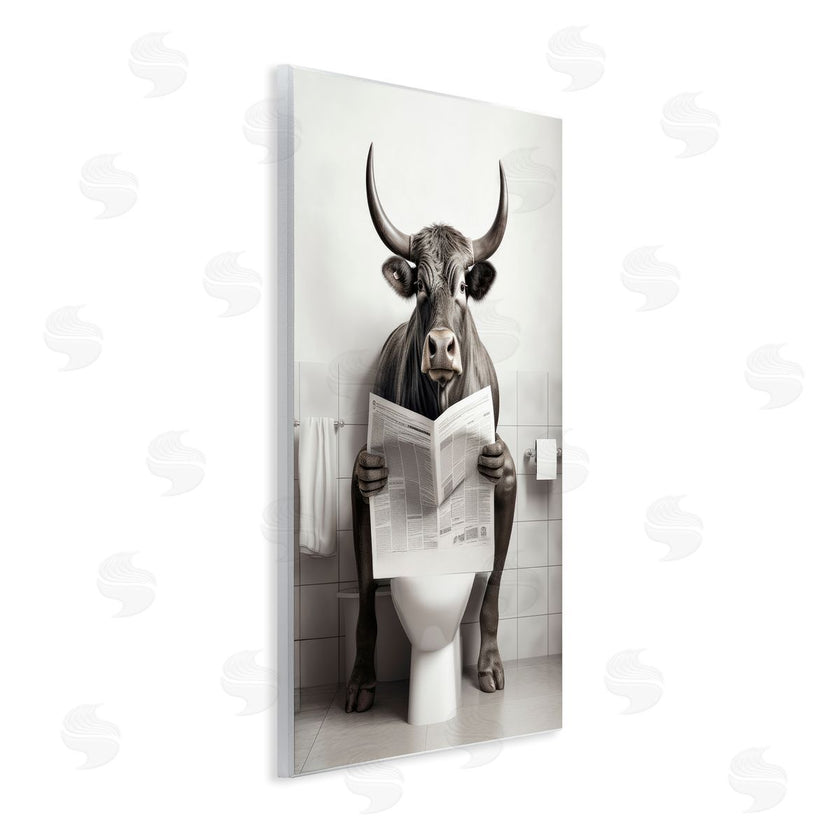 Lazar Studio | Cattle Reading Newspaper