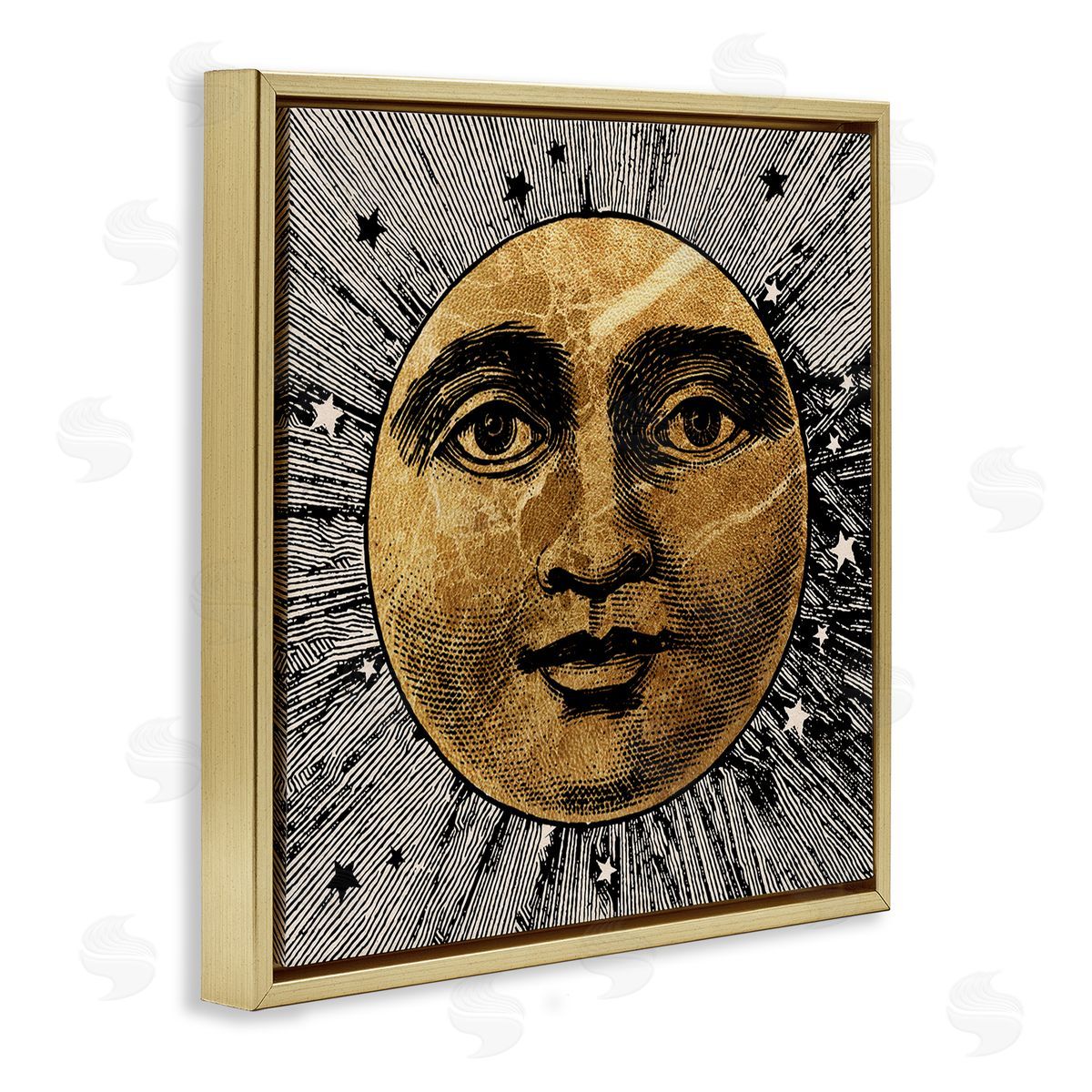Stupell Studio Detailed Moon Face Gold Floater Frame Canvas Artside_