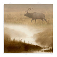 Danita Delimont | Foggy River Deer Scene