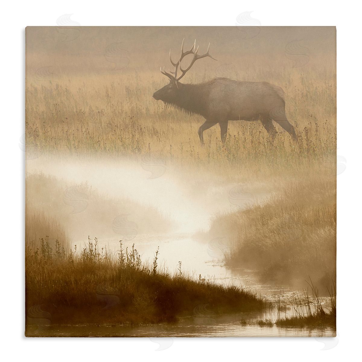 Danita Delimont | Foggy River Deer Scene