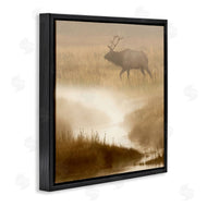 Danita Delimont | Foggy River Deer Scene