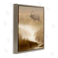 Danita Delimont | Foggy River Deer Scene
