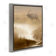 Danita Delimont | Foggy River Deer Scene