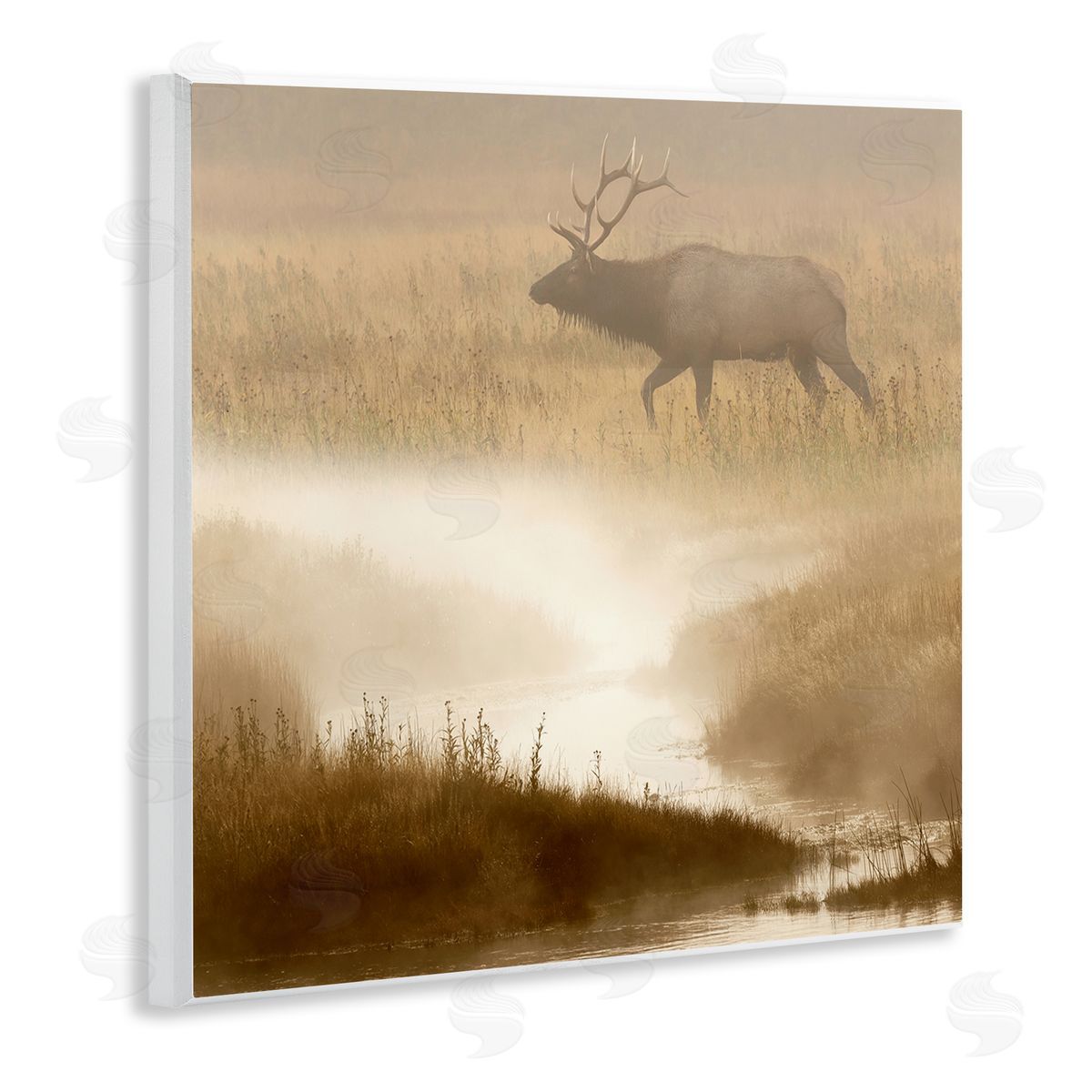 Danita Delimont Foggy River Deer Scene Wall Plaque Artside_
