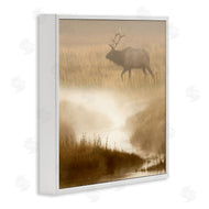 Danita Delimont | Foggy River Deer Scene