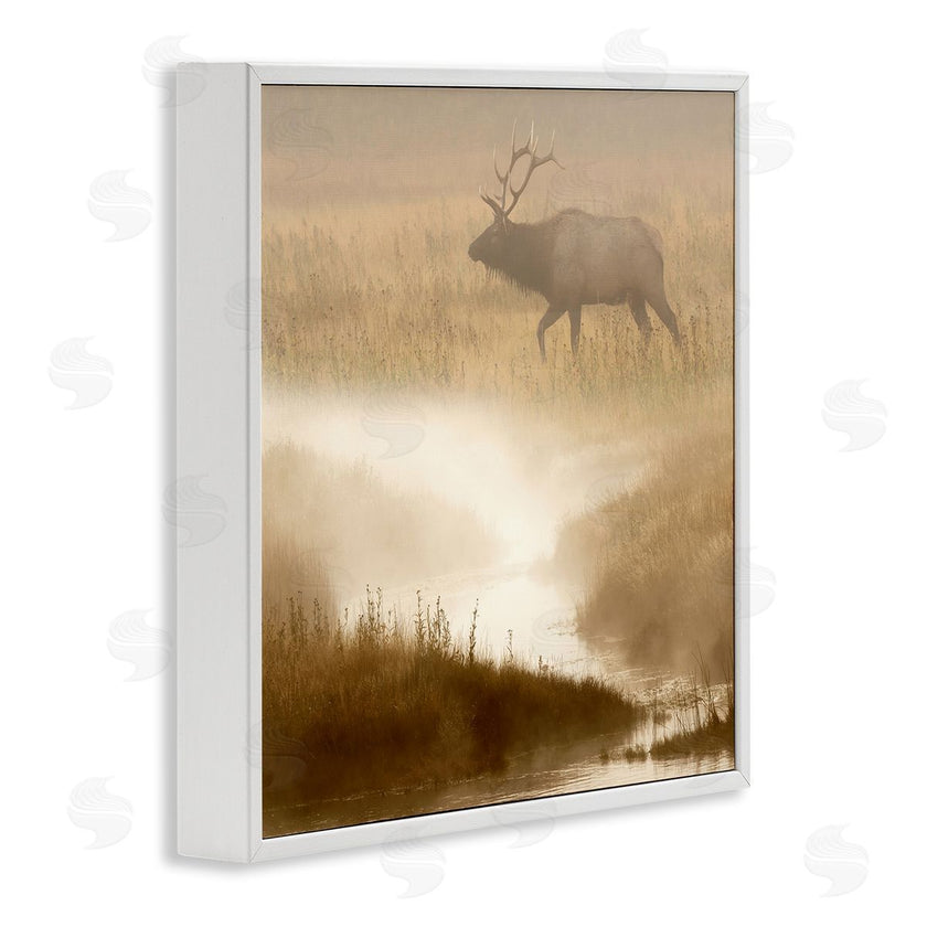 Danita Delimont | Foggy River Deer Scene