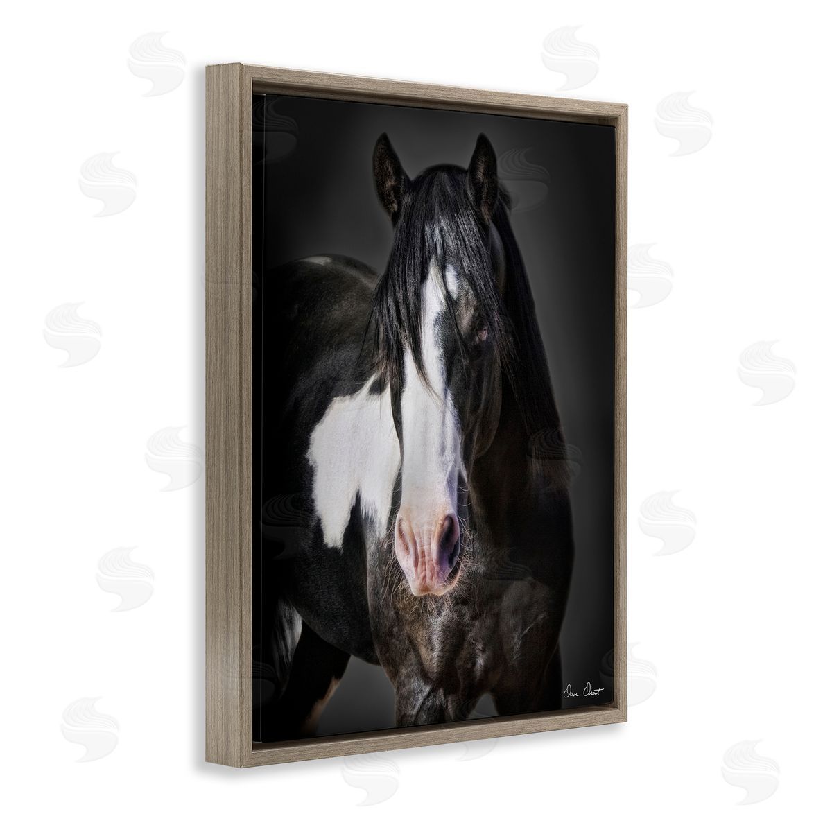 David Drost Black & White Horse Brown Floater Frame Canvas Artside_