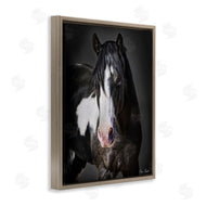 David Drost | Black & White Horse