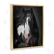 David Drost | Black & White Horse