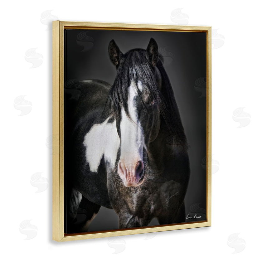 David Drost | Black & White Horse