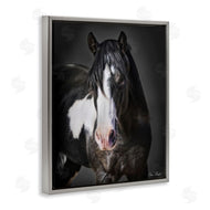 David Drost | Black & White Horse