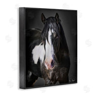 David Drost | Black & White Horse