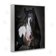 David Drost | Black & White Horse